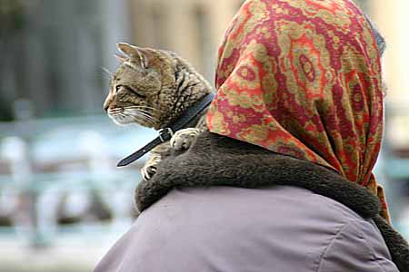 Frau mit Katze
